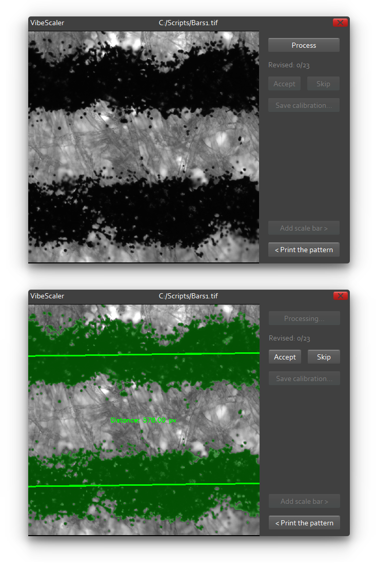 The Calibrate window: a processed frame with the two lines highlighted and the measured distance, alongside Process, Accept, Skip and Save calibration controls.